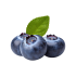 Blueberry