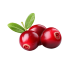 Cranberry